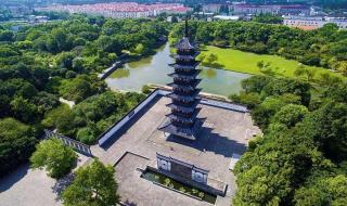 上海植物园和松江的辰山植物园哪个好玩各门票多少 上海植物园门票